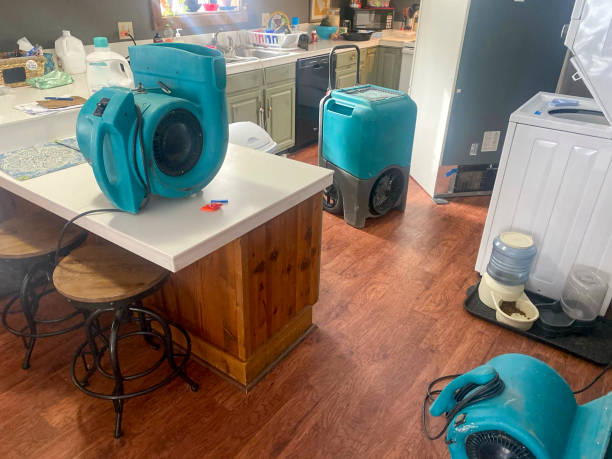 Best Water damage contractors near me  in Wilmore, KY