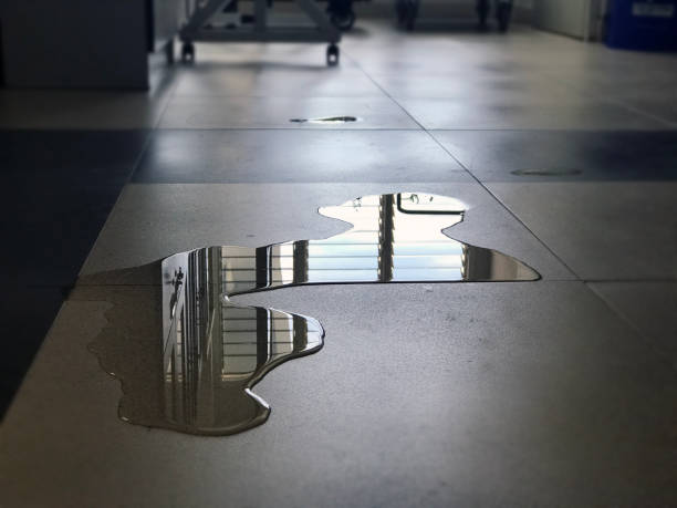 Best Water damage repair service  in Wilmore, KY