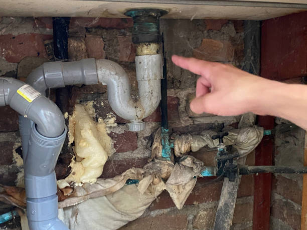 Best Flooded house restoration  in Wilmore, KY