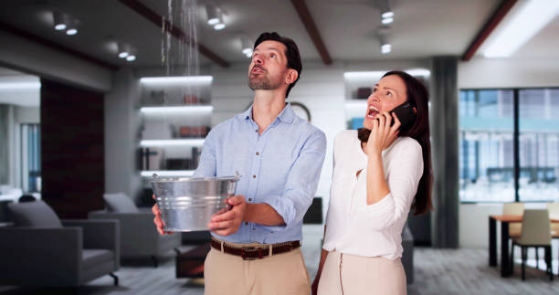 Best Carpet water damage restoration  in Wilmore, KY