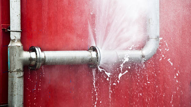 Best Sewage cleanup and water damage restoration  in Wilmore, KY